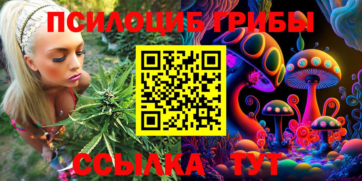 Псилоцибиновые грибы Magic Shrooms Красный Сулин